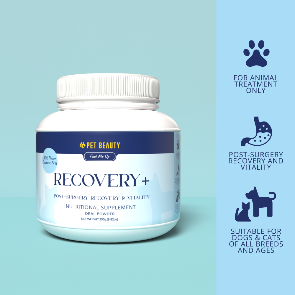 RECOVERY + Nutritional Supplement 250g