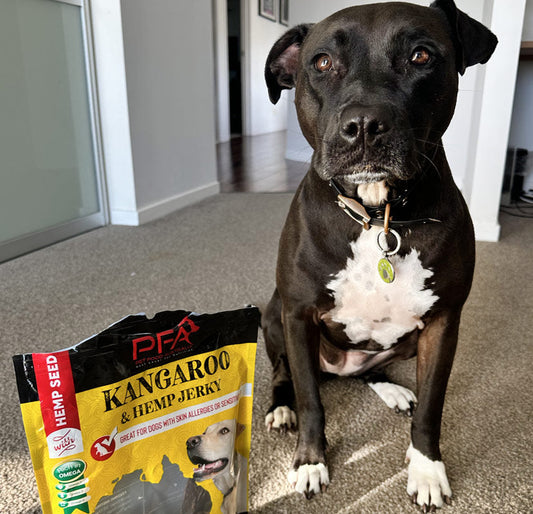 Kangaroo jerky treats for dogs 500g - product image