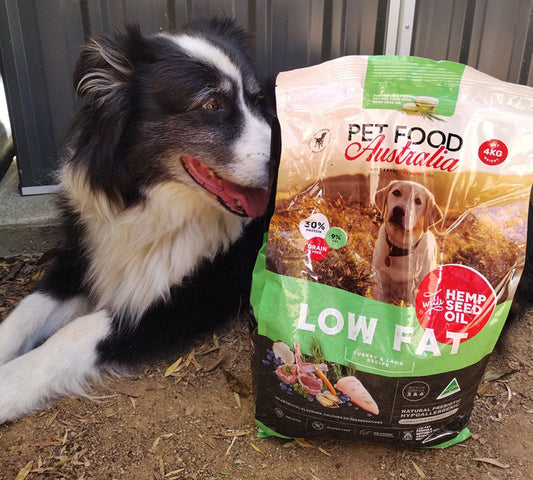 Turkey and Lamb low fat grain free dog food - product image
