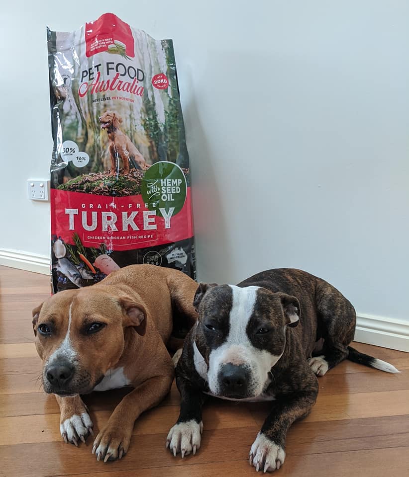 Turkey Dog Food Collective