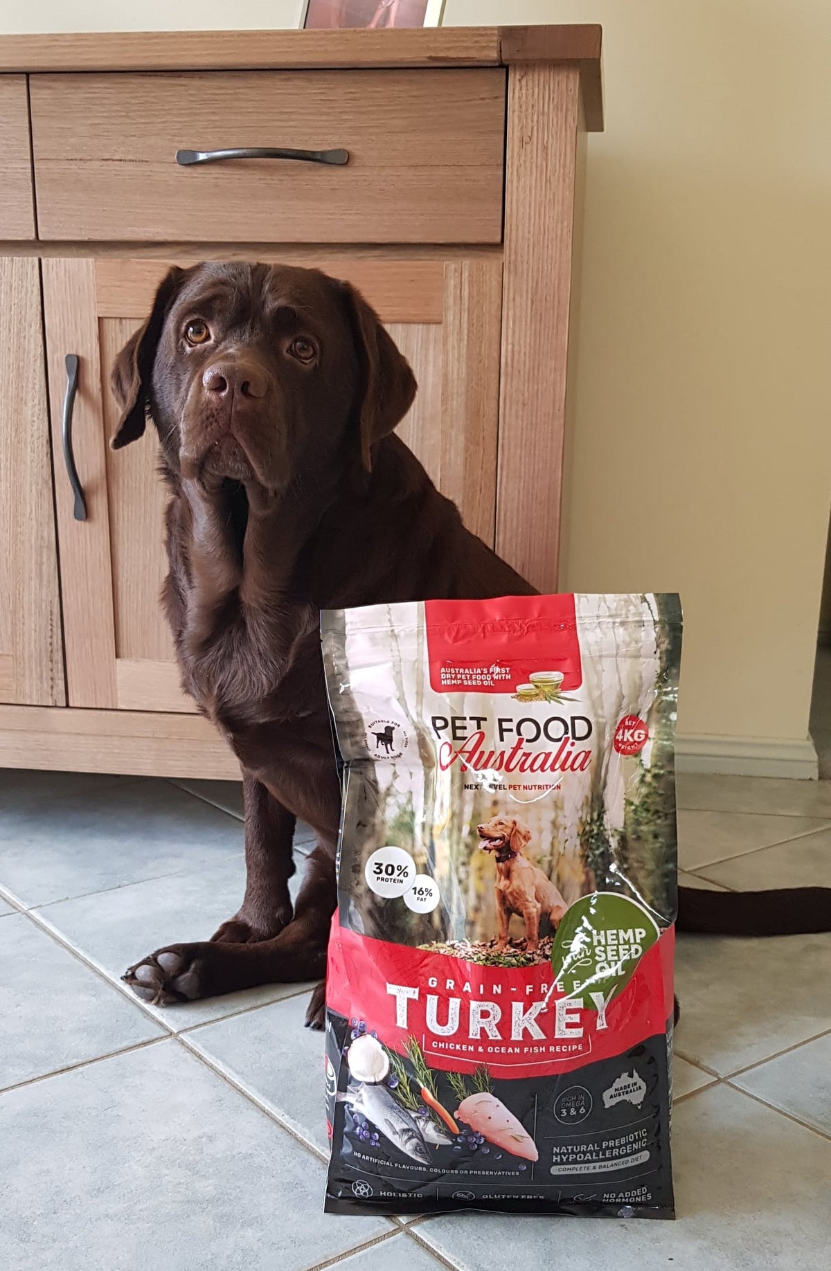 Turkey Dog Food Collective