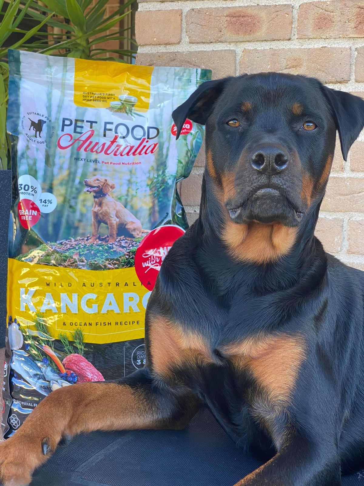 Kangaroo & Ocean Fish Dry Food Collective