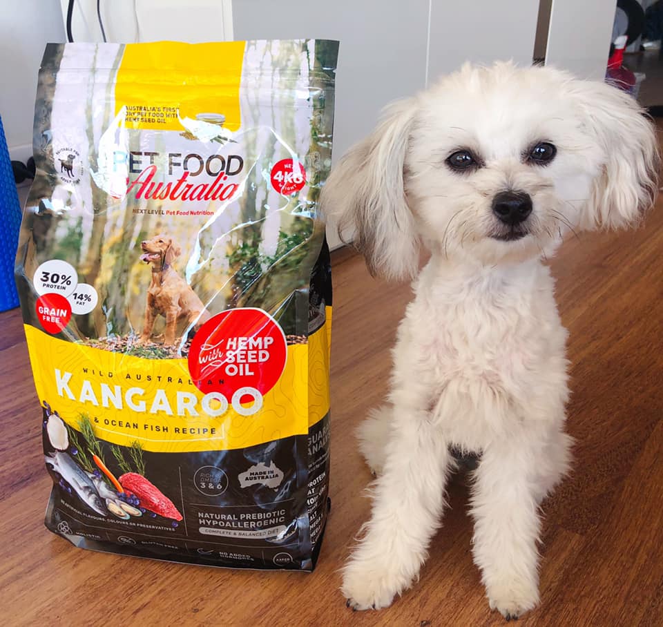 Kangaroo & Ocean Fish Dry Food Collective
