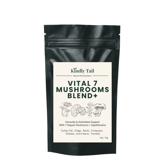 A black stand-up pouch of Kindly Tail Vital 7 Mushrooms Blend+ supplement, featuring a white label with green and black text and mushroom illustrations, set against a light blue-gray background.