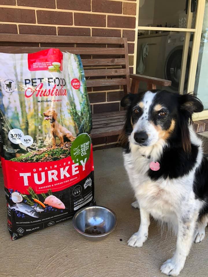 Turkey Dog Food Collective