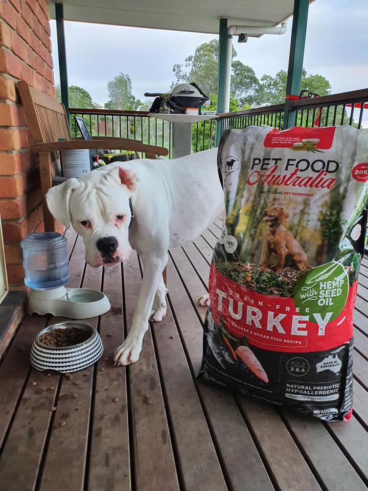 Turkey Dog Food Collective