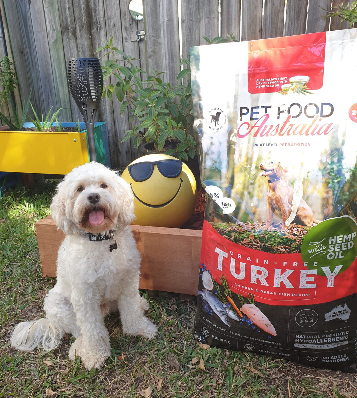 Turkey Dog Food Collective