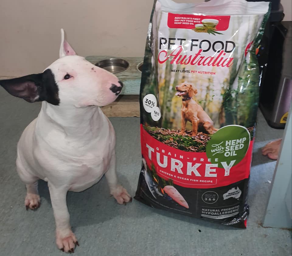 Turkey Dog Food Collective