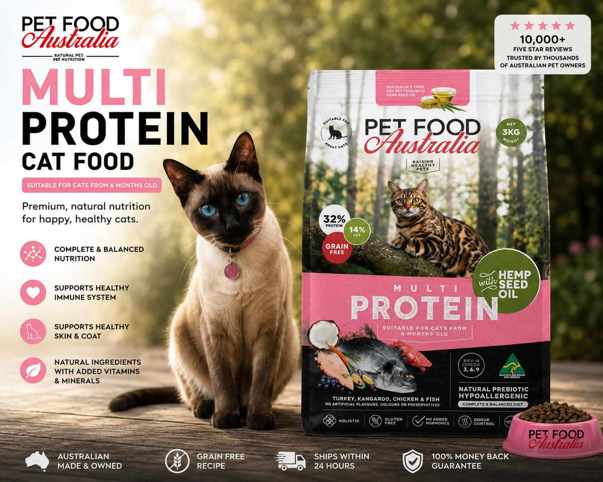 Cat Dry Food