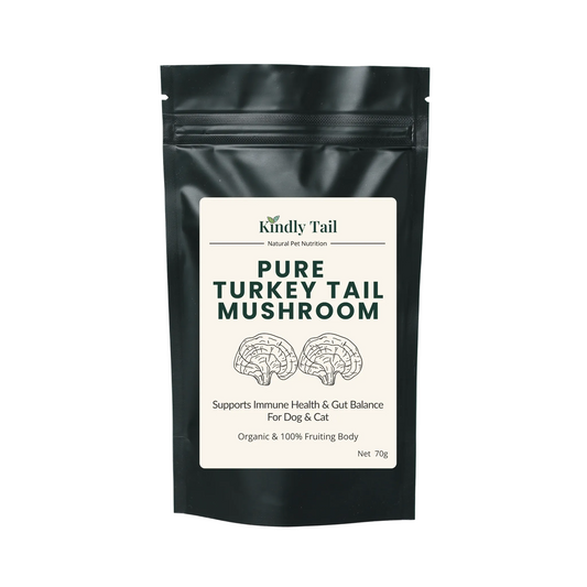 Black packaging of Kindly Tail Pure Turkey Tail Mushroom on a light gray background