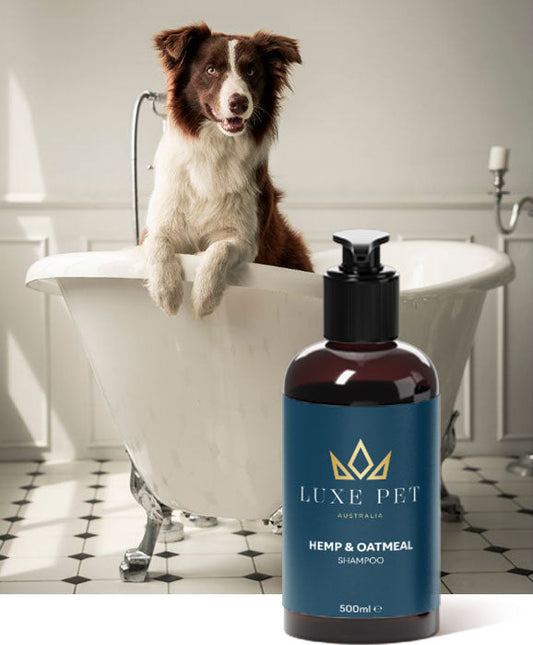 Luxe Pet Australia Hemp and Oatmeal dog shampoo 500ml - product image