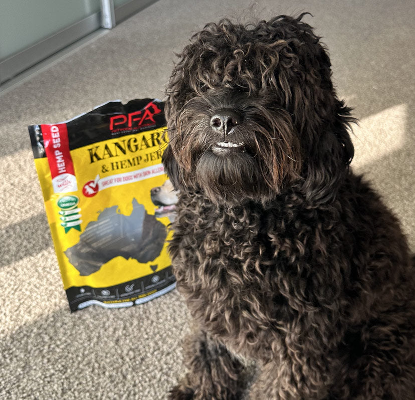 Kangaroo Jerky Treats 500g