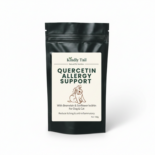 Black packaging of Kindly Tail Quercetin Allergy Support for pets on a light gray background