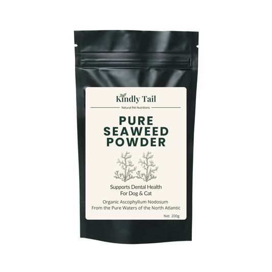 A black stand-up pouch of Kindly Tail Pure Seaweed Powder for dogs and cats, featuring a clean white label with dark green text, set against a solid light blue-gray background.