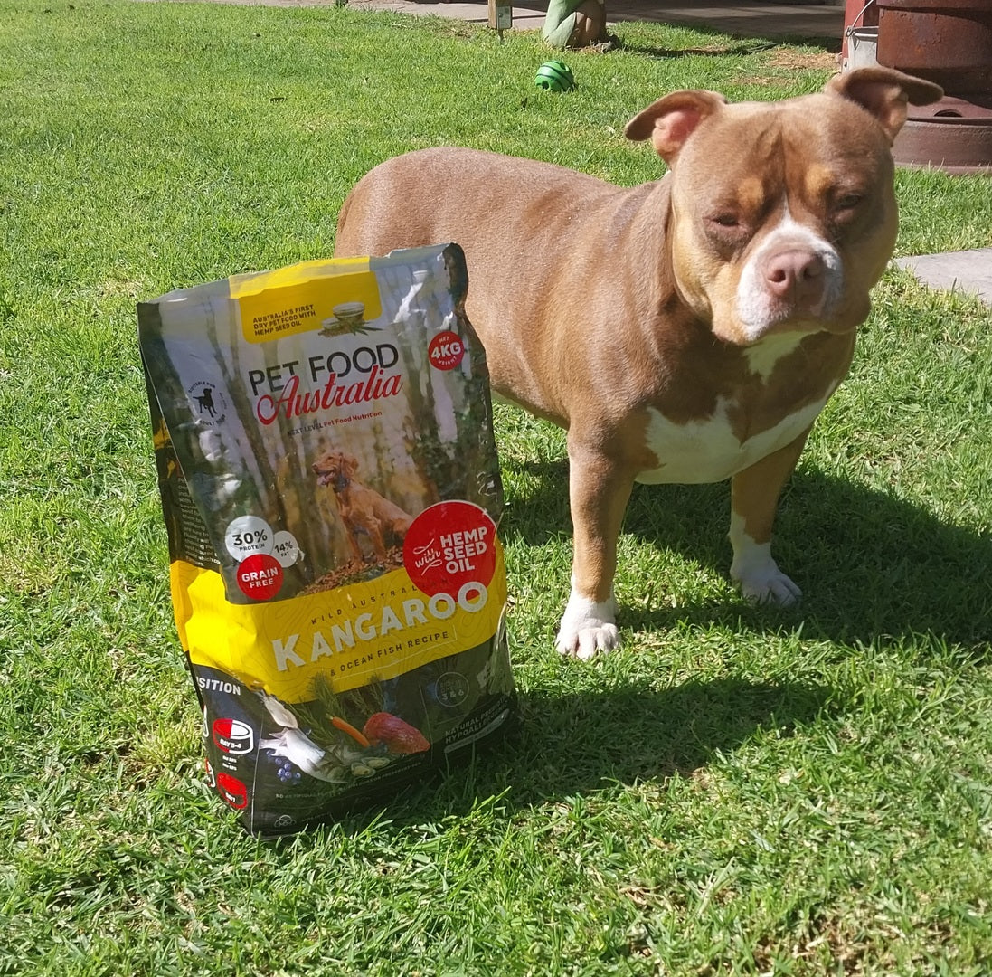 Kangaroo & Ocean Fish Dry Food Collective