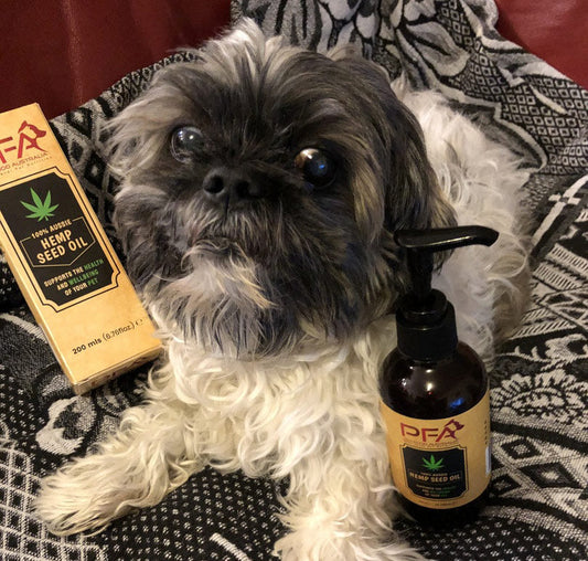 Hemp seed oil for dogs 200mL - product image